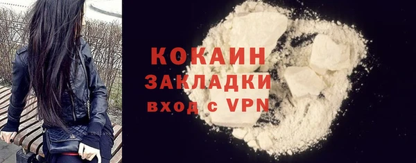 кокс Алексин