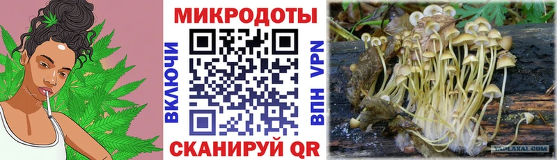 сколько стоит  гидра ONION  Псилоцибиновые грибы мухоморы  Шатура 